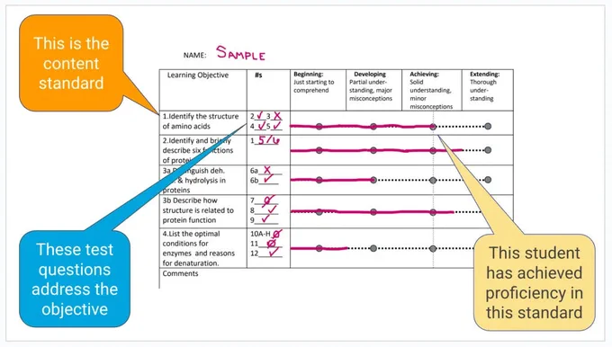 Visual rubric shows a student's performance according to five learning objectives.
