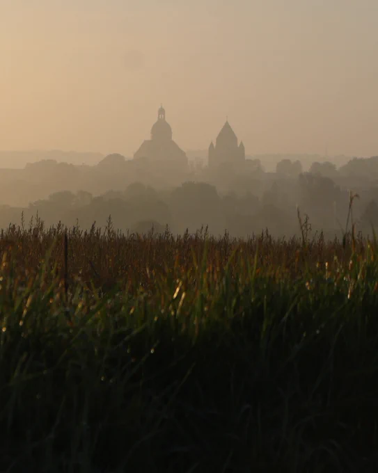 Plusieurs plans composent cette image prise par un matin brumeux. On distingue au premier plan des herbes hautes perlées d’humidité, sombres et nettes, qui captent quelques reflets dorés. À l’arrière-plan, derrière un voile de brume matinale et de la végétation haute, émergent deux silhouettes monumentales : un édifice surmonté d’un dôme (Eglise Sainte-Quiriace) et, à ses côtés, une tour au toit pointu (Tour César). Le tout baigne dans une lumière douce et diffuse, aux teintes chaudes, qui renforce la profondeur et l’atmosphère paisible de la scène.