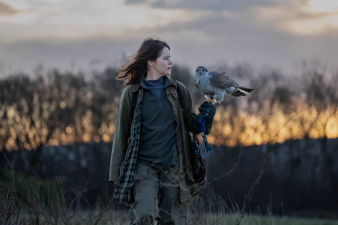 Still from H is for Hawk. A woman stands in a field. She has a hawk perched on her arm.