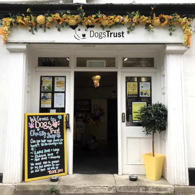 This is a tidy and inviting shop front with a chalk board on one side of the door and a yellow potted plant on the other.