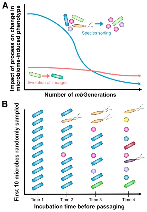 Fig. 1.
Here, we visualize how the impact of iterative microbiome passaging may differ with time.