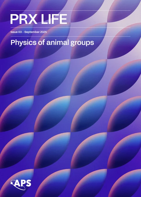 Cover of PRX Life, Issue 03, September 2025. Title reads “Physics of animal groups.” The background features a repeating geometric pattern of overlapping oval shapes in gradients of blue, purple, and pink. APS logo in white appears at the bottom left.