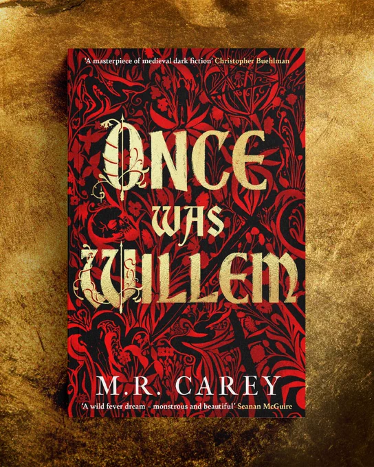 Once Was Willem by M. R. Carey