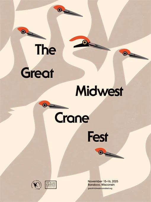 Flat, graphic poster of a Whooping Crane standing in the negative space of many Sandhill Cranes. The poster reads "The Great Midwest Crane Fest - Nov. 15-16, 2025 Baraboo, Wisconsin.