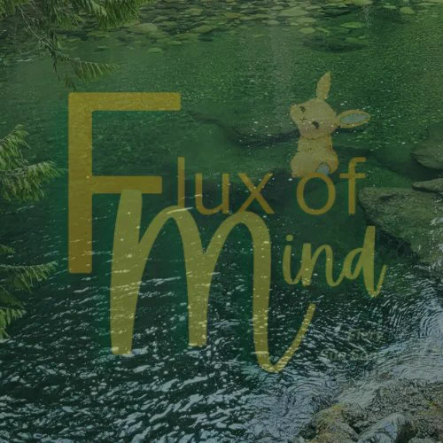 My photo that I use throughout most of my projects with my site logo in front. The photo is of green water flowing gently over rocks. Some evergreen branches and mossy rocks are visible on the edges. My logo, in orange and yellow, is transparent and large. It reads: Flux of Mind with Fiery Sun Song, and has my signature miscievous bunny sitting on the O of the word "of."