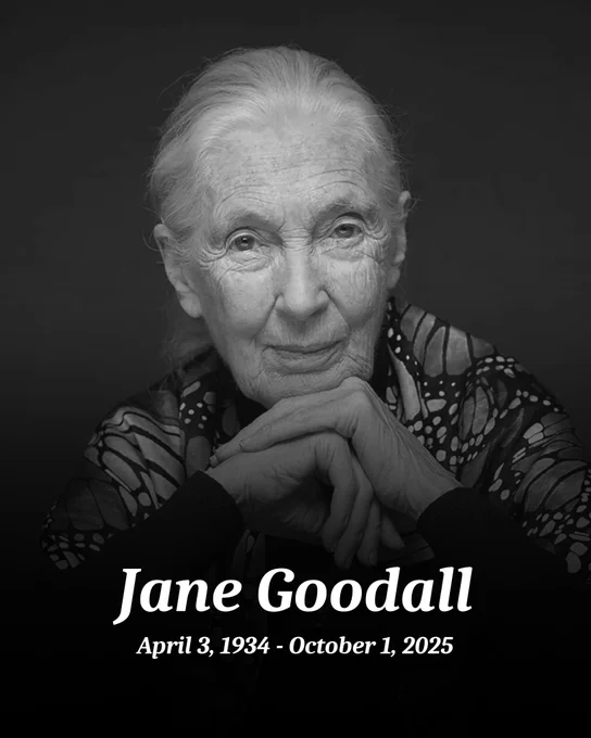Jane Goodall: April 3, 1934 – October 1, 2025