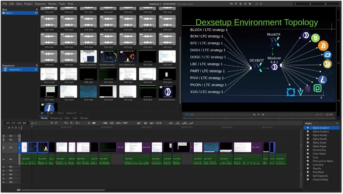 Making video tutorial how to setup fully decentralized crypto currency exchange layer 1 by using Blocknet XBridge API, Dexsetup and Dexbot with dexsetup.cli.installer on Debian GNU Linux by nnmfnwl7.