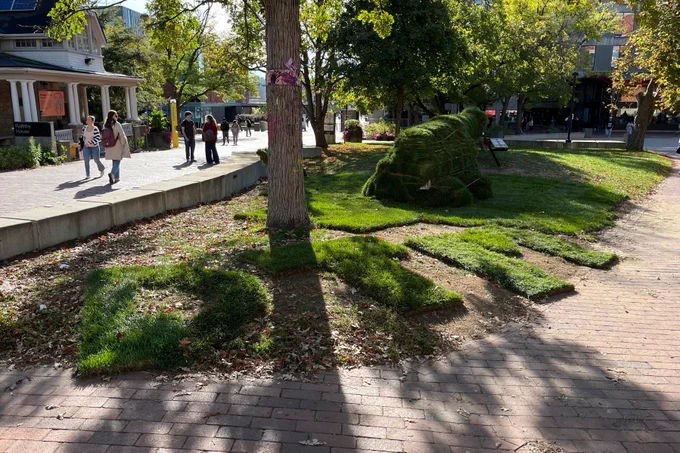 Grass sod cut to spell out the letters "DTM"