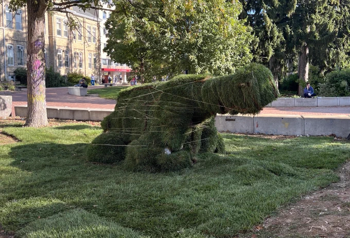 A cannon covered with grass