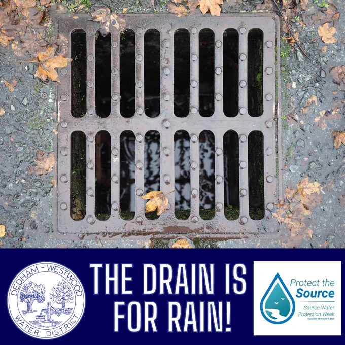 Image of water entering a storm drain in the road. Text: The Drain is For Rain! Image of the Protect the Source logo. Text: Protect the source, source water protection week, September 28-October 4, 2025.

Image of the Dedham-Westwood Water District logo