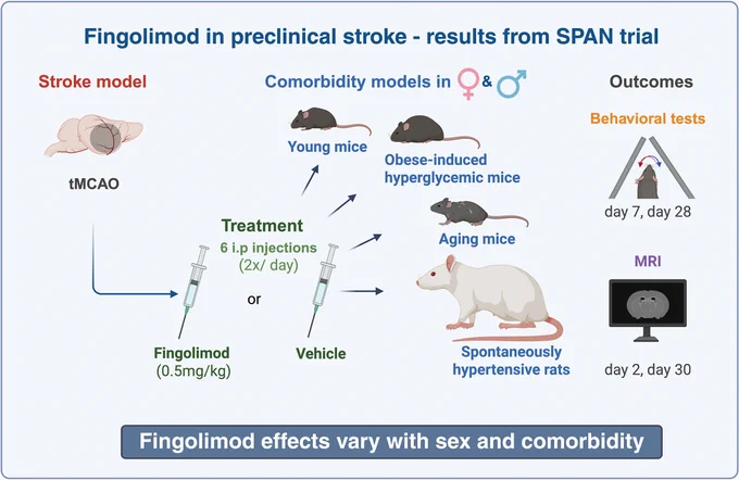 Graphic abstract in Boisserand et al.
