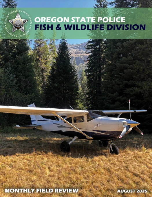 A small airplane in a dry field with trees behind it.