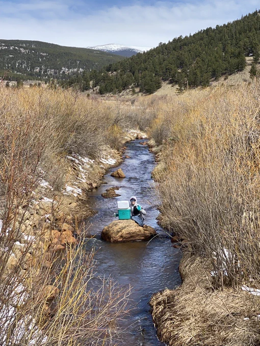 Zach sampling source water in a stream in the mountains