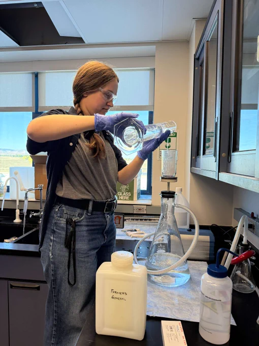Courtney testing water samples at a laboratory