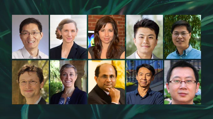 2025 Seed Grant awardees (10 awardees across 5 projects)