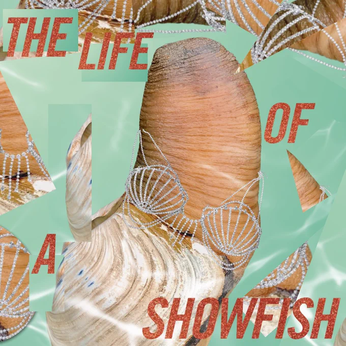 A stunning album cover with the words "The Life of a Showfish" in orange glittery letters. The album also features a geoduck, semi-submerged in water wearing a bedazzled top and looking their best in Washington's waters.