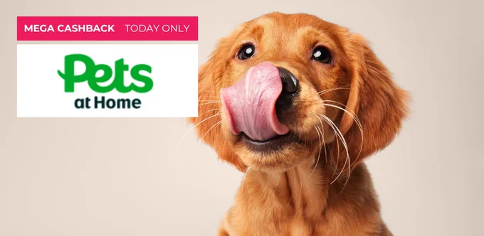 Mega Cashback Today Only 
Pets at Home
