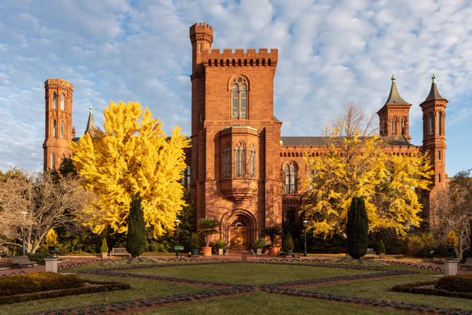 View of the Smithsonian Institution Building, also known as the Castle, with vibrant yellow autumn foliage in the foreground, under a clear blue sky. The yellow trees are Ginkgo biloba. 
