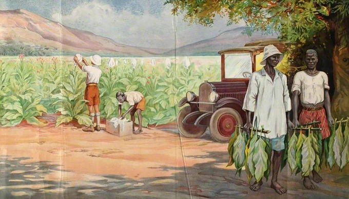Tobacco Plantation Rhodesia by Frank C. Papé for the Empire Marketing Board [1928]