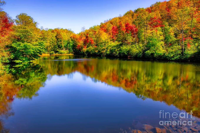 Vibrant red, yellow, and green autumn trees reflect in the still waters of Sims Pond along the Blue Ridge Parkway. The deep blue sky above contrasts with the colorful foliage, creating a peaceful fall landscape near Blowing Rock, Boone, and Asheville in the Blue Ridge Mountains