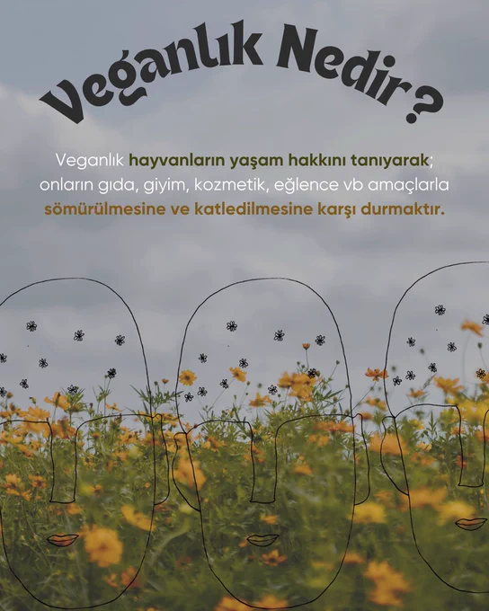 Görselin arka planında gri bulutlarla kaplı gökyüzü altında, yoğun şekilde açmış sarı
çiçeklerin bulunduğu geniş bir çiçek tarlası. Çiçekler, doğal ve hafif dağınık bir düzende,
görselin alt ve orta bölümünü kaplıyor.
Üst bölümde en üstte büyük siyah yazıyla “Veganlık Nedir?” sorusu yer alıyor. Altında
beyaz, kahverengi ve yeşil tonlarda vurgulanmış metin bulunuyor: “Veganlık hayvanların
yaşam hakkını tanıyarak; onların gıda, giyim, kozmetik, eğlence vb. amaçlarla
sömürülmesine ve katledilmesine karşı durmaktır. Burada “hayvanların yaşam hakkını
tanıyarak” kısmı yeşil, “sömürülmesine ve katledilmesine karşı durmaktır” kısmı ise
kahverengi renkle öne çıkarılmış.
Orta-alt bölümde çiçeklerin üzerine yerleştirilmiş, şeffaf çizgi stiliyle yapılmış üç adet
yüz silueti var. Bu yüzler sade hatlardan oluşuyor: uzun oval başlar, burun ve dudak
hatları var. Kafa kısımlarında küçük çiçek ve arı sembolleri serpiştirilmiş şekilde
çizilmiş.