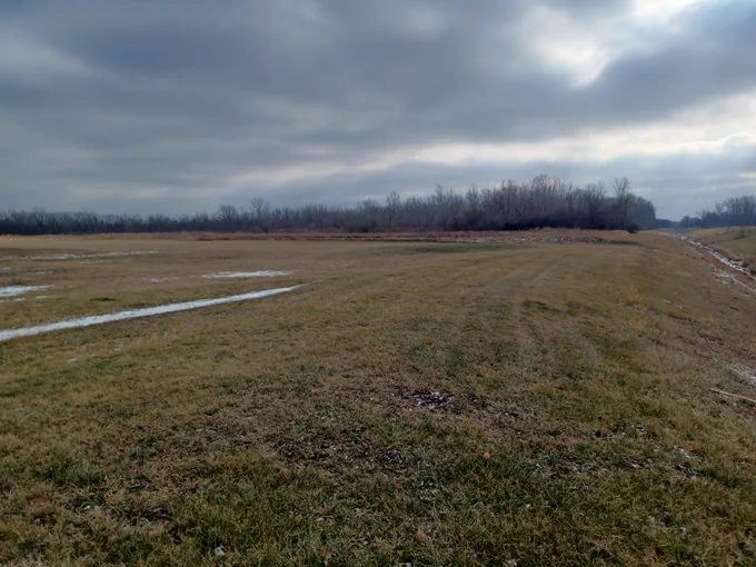 From a sea of turf grass with no habitat...