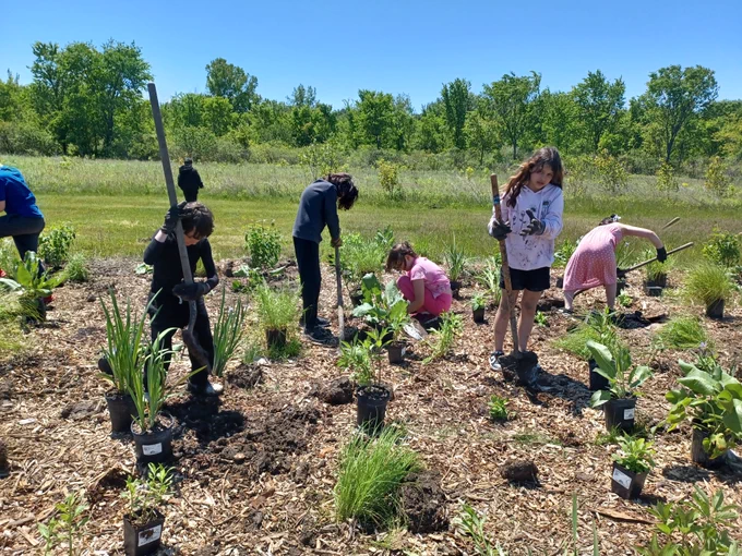 ...to a vibrant native habitat that supports native pollinators!