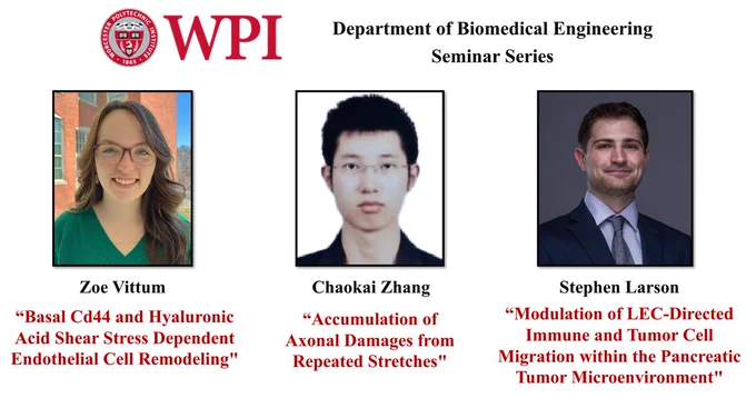 The top of the image has the WPI seal and “Department of Biomedical Engineering Seminar Series”.

There are three photos on image with names and seminar titles under each picture. 

From Left to Right:

Picture: Zoe is a White woman with light brown wavy hair past her shoulders. She is smiling at the camera and is wearing glasses and a green v-neck shirt. There is a red brick building in the background.
Text: Zoe Vittum “Basal Cd44 and Hyaluronic Acid Shear Stress Dependent Endothelial Cell Remodeling”

Picture: Chaokai is an Asian man with short dark hair. He is looking at the camera and is wearing glasses and a black collared shirt. The background is white.
Text: Chaokai Zhang “Accumulation of Axonal Damages from Repeated Stretches”

Picture: Stephen is a White man with short dark hair. He is smiling at the camera and is wearing a blue collard shirt and gray tie under a dark blue blazer. The background is gray.
Text: Stephen Larson “Modulation of LEC-Directed Immune and Tumor Cell Mi