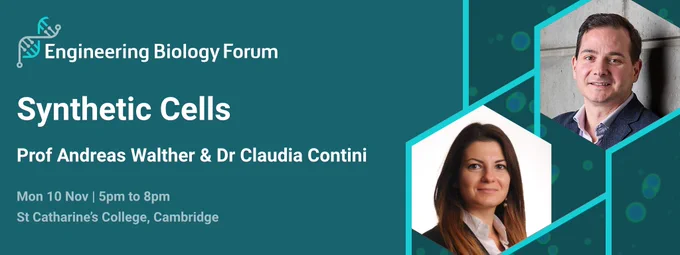 Headshots of speakers Andreas Walther and Claudia Contini next to text that reads "Engineering Biology Forum. Synthetic Cells. Mon 10 Nov. 5pm to 8pm. St Catharine's College, Cambridge".