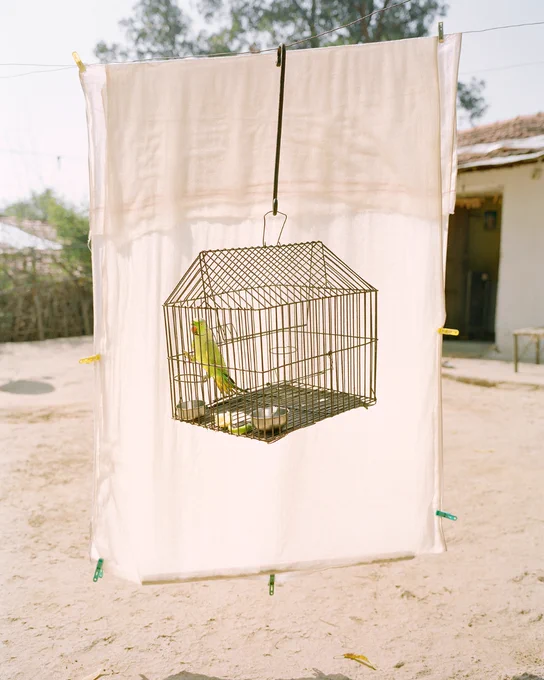Vasantha Yogananthan. Lovebird, Ramtek, India, 2015. Series: A Myth of Two Souls.