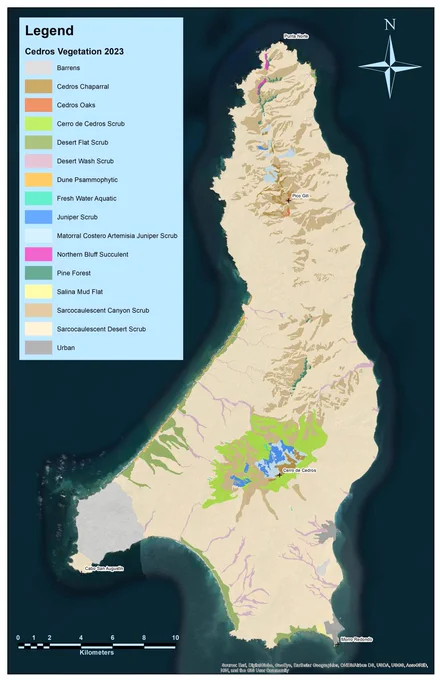 Fig. 1 Vegetation map of Cedros Island 2023.