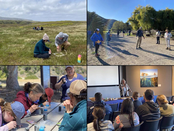 Fig. 1 Oxnard teachers participate in trainings about biodiversity and human impacts on the Channel Islands. A, Teachers using quadrats to take a “micro-hike” to investigate biodiversity at Cavern Point, Santa Cruz Island. B, Teachers practicing actual monitoring protocols for measuring human impacts on the environment (NOAA Marine Debris Survey) with Russ Bradley (scientist, Santa Rosa Island Research Station) at Scorpion Ranch, Santa Cruz Island. C, Dr. Clare Steele (CSUCI) teaching how to identify microplastics in water samples at the picnic tables at Prisoners Harbor, Santa Cruz Island. D, Julie Tumamait-Stenslie, a Chumash Elder and Island Descendant, discussing Chumash heritage and ethno botany. Photos by S. Raskin.