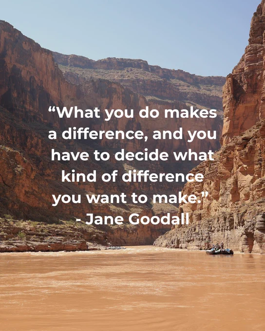 Quote by Jane Goodall over a scenic view of a river flowing between towering canyon walls under a clear blue sky.