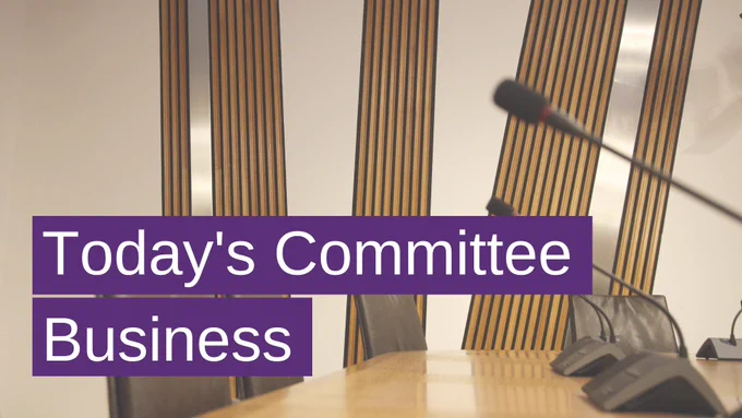 Image of a committee room desk with brown chairs, overlaid with the text 'Today's Committee Business' in bold white letters on a purple background.