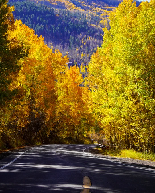 A scenic road winding through a vibrant autumn forest with bright yellow leaves.
