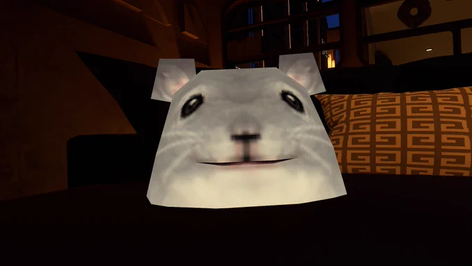 a chinchilla?