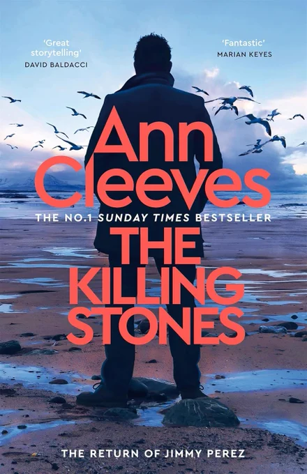 The cover of The Killing Stones by Ann Cleeves
