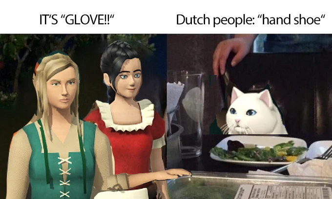 A meme with the left side showing two angry women with the caption "It's GLOVE!!" and the right side with a white cat sitting at a table and the caption "Dutch people: 'hand shoe'"