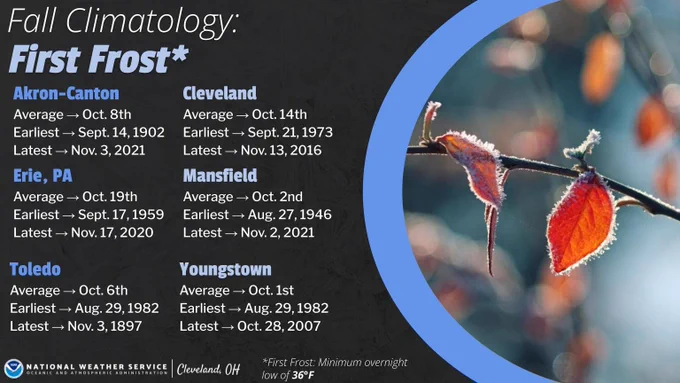 A graphic titled “Fall Climatology: First Frost.” It lists average, earliest, and latest first frost dates for several climate sites in northern Ohio and northwest Pennsylvania. Akron-Canton: average Oct 8, earliest Sept 14 1902, latest Nov 3 2021. Cleveland: average Oct 14, earliest Sept 21 1973, latest Nov 13 2016. Erie PA: average Oct 19, earliest Sept 17 1959, latest Nov 17 2020. Mansfield: average Oct 2, earliest Aug 27 1946, latest Nov 2 2021. Toledo: average Oct 6, earliest Aug 29 1982, latest Nov 3 1897. Youngstown: average Oct 1, earliest Aug 29 1982, latest Oct 28 2007. A note defines “first frost” as a minimum overnight low of 36°F. The right side of the graphic shows a close-up photo of red and orange leaves coated with morning frost.