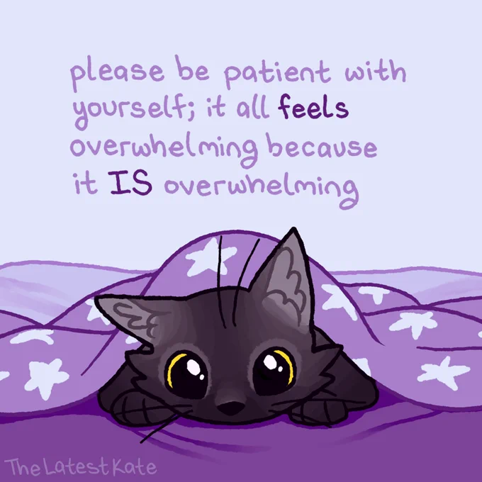 A drawing of a black cat resting under a blanket. The caption reads, "please be patient with yourself; it all feels overwhelming because it IS overwhelming"