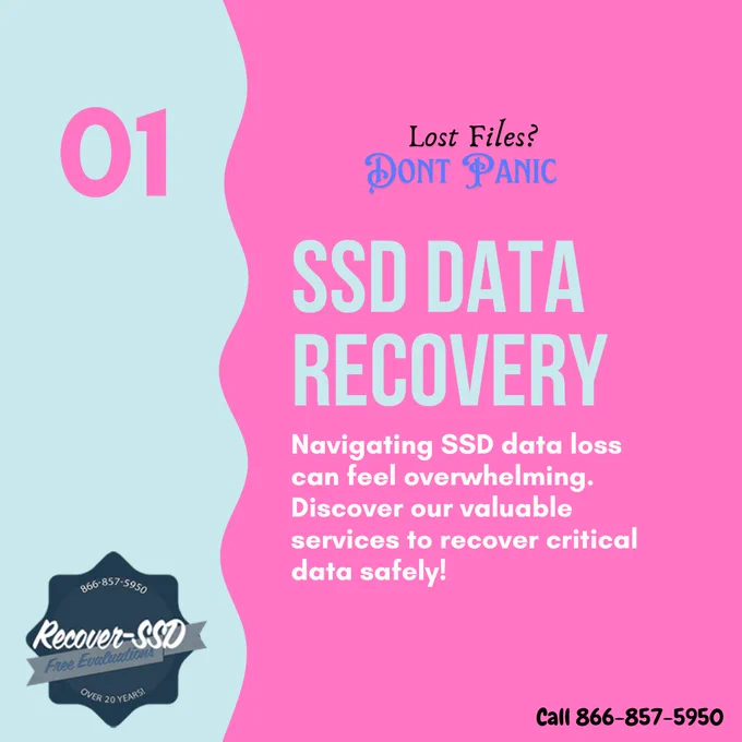 Data recovery SSD