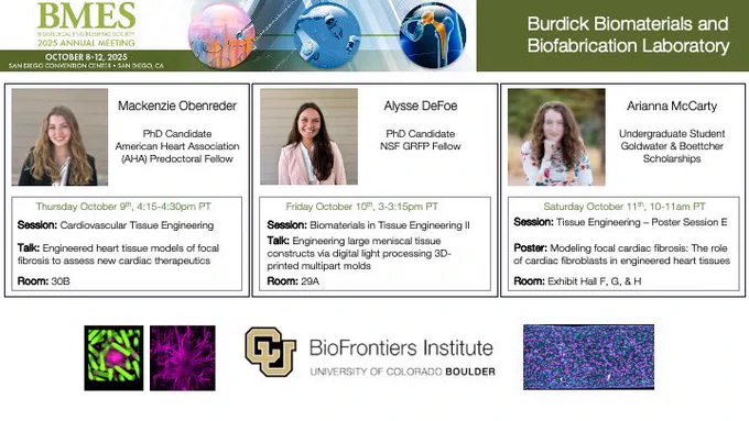 Burdick lab BMES presentations