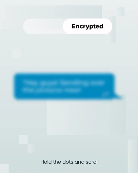 A blurred text message. A label above the text reads "Encrypted."