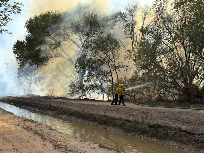 Firefighters using a hose to extinguish a wildfire near a row of trees, with smoke filling the air.