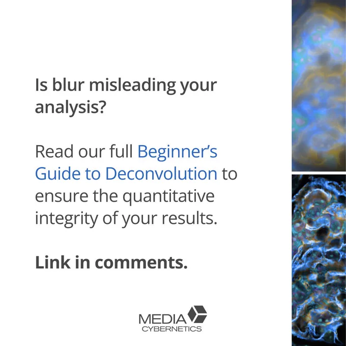Restore clarity and boost accuracy — read the full guide.