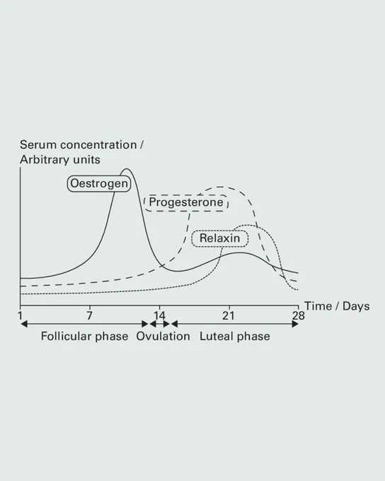 A scheme of the hormonal fluctuations in the physiological menstrual cycle.