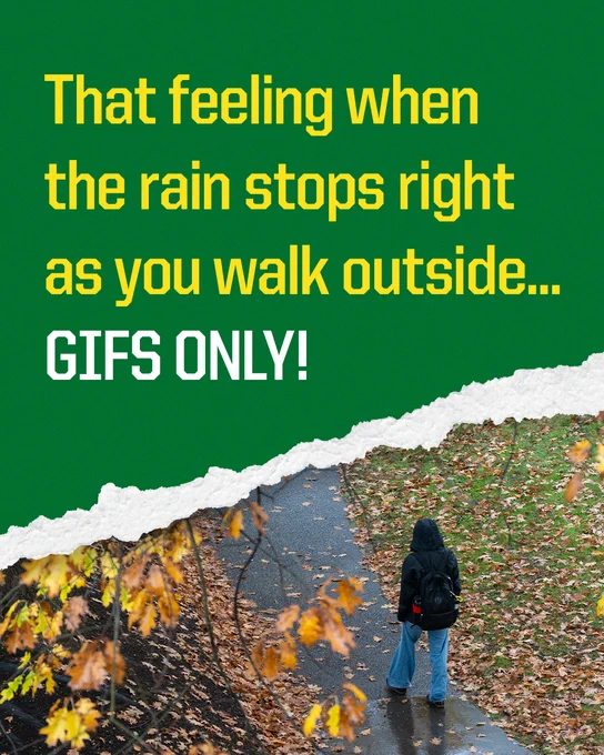 Graphic with text that reads "That feeling when the rain stops right as you walk outside... GIFS ONLY!" featuring a person with a backpack walking along a path bordered by autumn leaves, transitioning from a rainy to a clear environment.