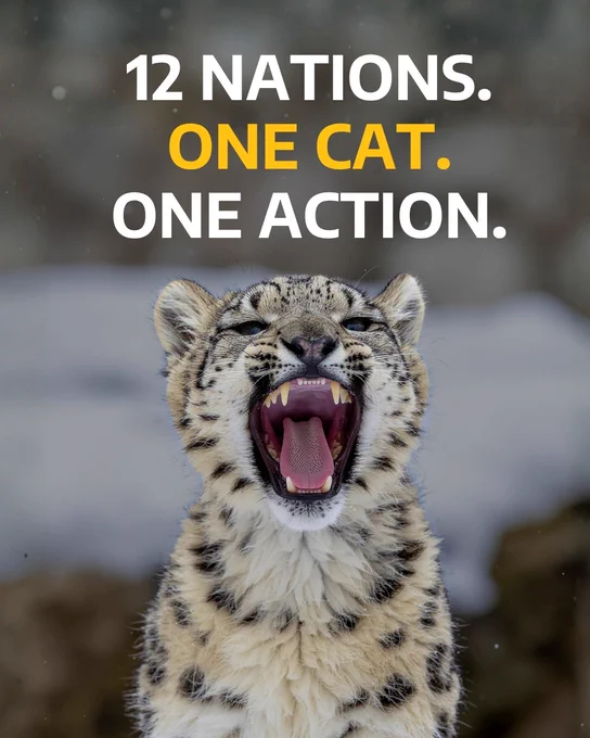 Snow Leopard PC GSLEP Secretariat