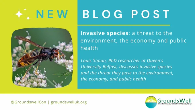 Card titled "new blog post". Title reads "Invasive species: a threat to the environment, the economy and public health". Main body of text reads: Louis Simon, PhD researcher at Queen's University Belfast, discusses invasive species and the threat they pose to the environment, the economy, and public health. An image to the left shows an Asian hornet among flowers.