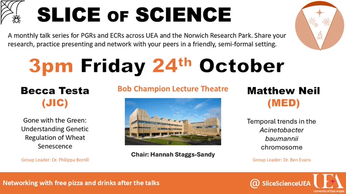 Poster for the “Slice of Science” talk series at the University of East Anglia (UEA). The event is on Friday, 24th October at 3 pm in the Bob Champion Lecture Theatre. Speakers are Becca Testa (JIC) presenting “Gone with the Green: Understanding Genetic Regulation of Wheat Senescence” (Group Leader: Dr. Philippa Borrill), and Matthew Neil (MED) presenting “Temporal trends in the Acinetobacter baumannii chromosome” (Group Leader: Dr. Ben Evans). The session chair is Hannah Staggs-Sandy. The poster mentions free pizza and drinks for networking after the talks. The design includes UEA and Slice of Science logos, a spider web graphic, and a photo of the Bob Champion Building.